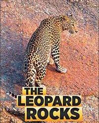 Скала леопардов (2017) смотреть онлайн